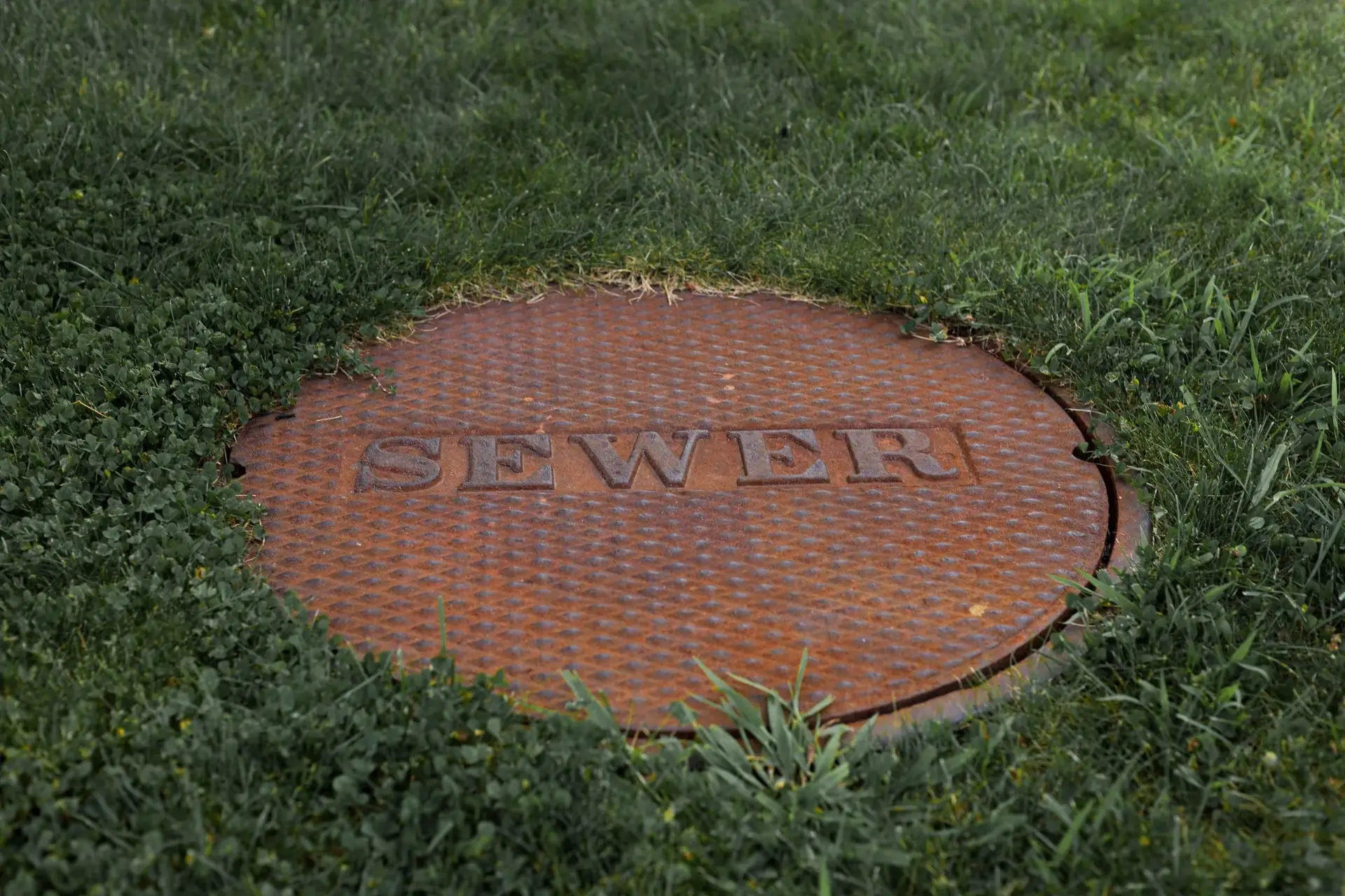 A rusty sewer cover set in green grass