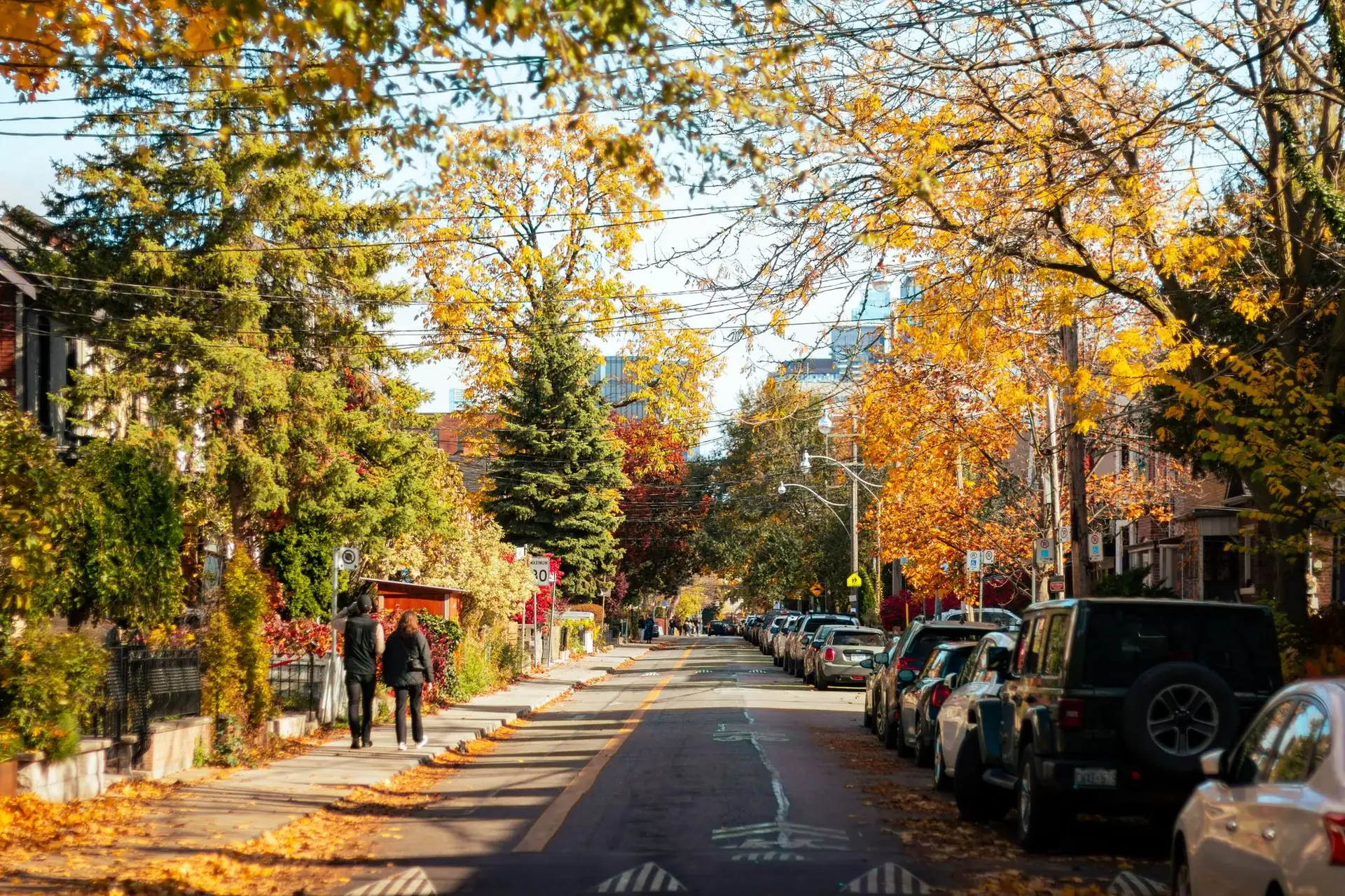 A Toronto residential street lined with tall autumn trees