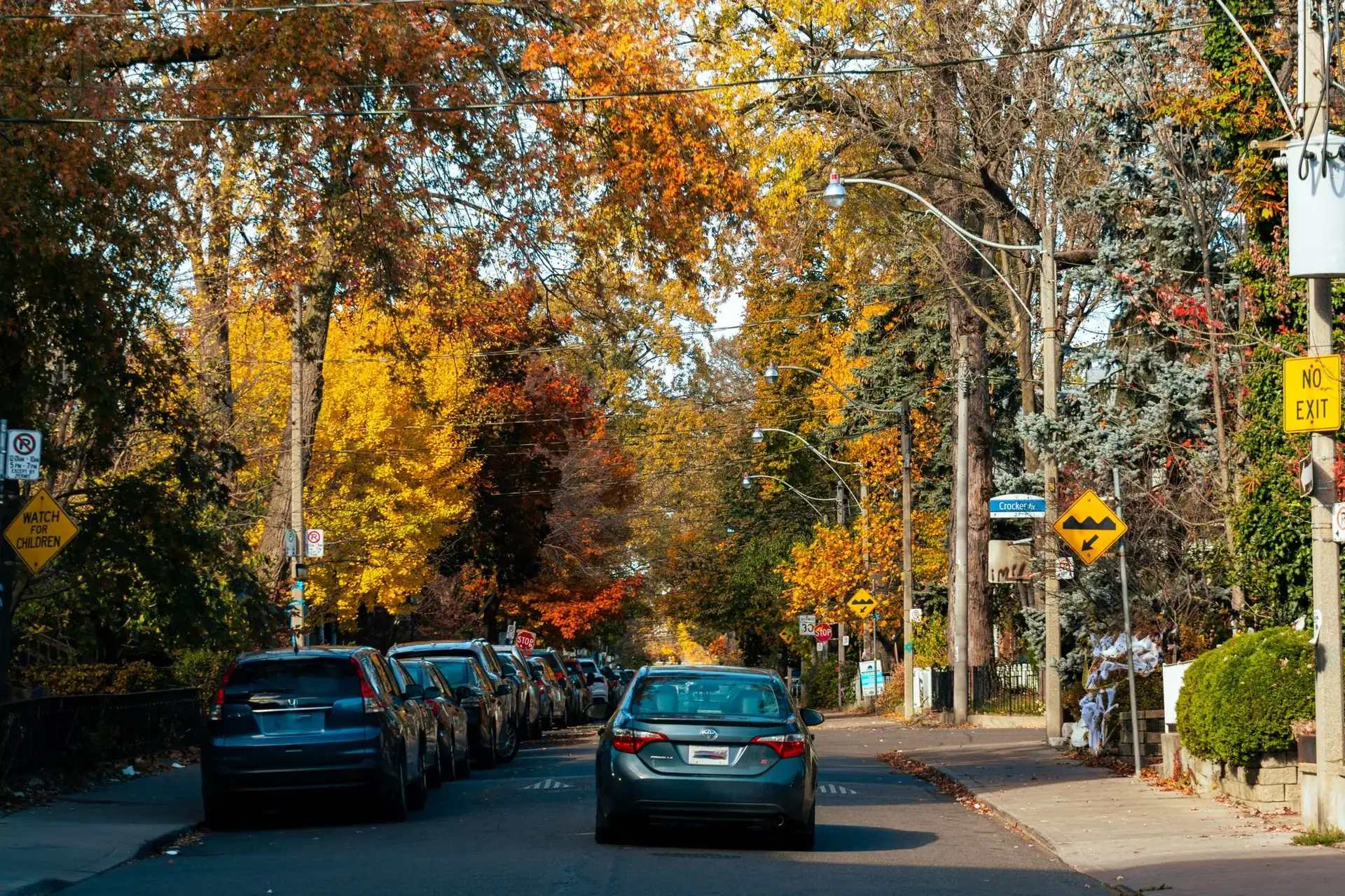 A quiet Toronto street with orange and yellow autumn trees