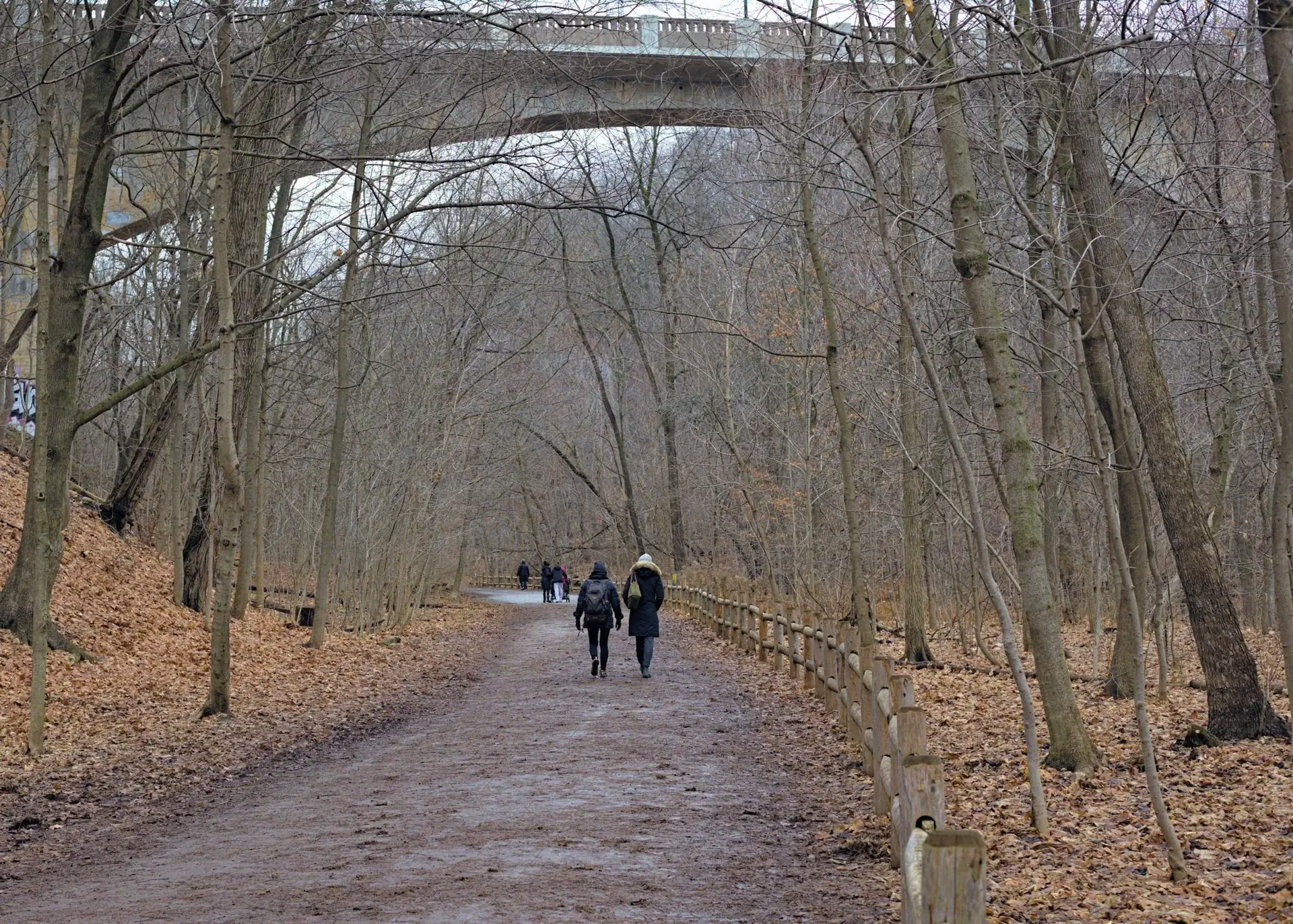 People walking a wooded ravine trail in Toronto in late fall