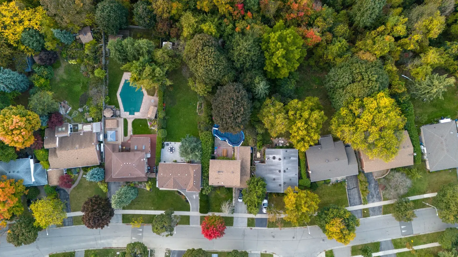 Aerial view of large homes among mature trees